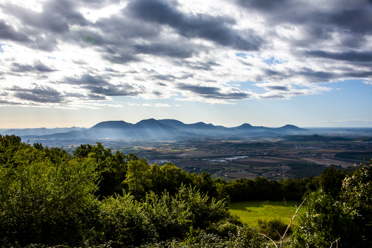 Robeco: World Environment Day, la perdita di biodiversità, rischio globale